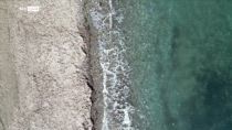 Foresta Blu, progetto per curare il polmone del mediterraneo