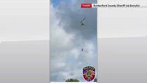 USA, zebra fugge e diventa virale: ritrovata dopo 7 giorni