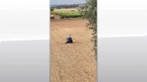 Carabiniere ucciso, acquisito video cattura dell'assassino
