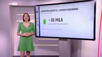 In aumento la richiesta di lavoratori domestici in Italia
