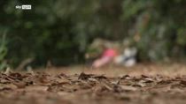 Villa Pamphili, donna morta è russa e si chiamava Anastasia
