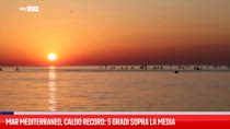Mar Mediterraneo, caldo record: 5 gradi sopra la media