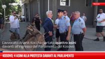 Kosovo, 4 asini alla protesta davanti al Parlamento