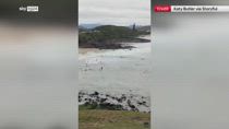 Australia, 16enne ferito gravemente da uno squalo