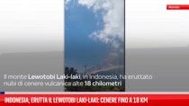 Indonesia, erutta il Lewotobi Laki-Laki: cenere fino a 18 km