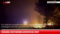 Catalogna, vasto incendio alimentato dal vento