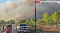 Grecia, incendi a Oropos: grandi colonne di fumo nero