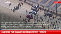 California, vivai cannabis nel mirino: proteste e scontri