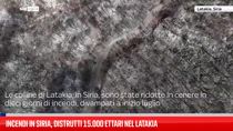Incendi in Siria, distrutti 15.000 ettari nel Latakia