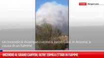 Incendio al Grand Canyon, oltre 20mila ettari in fiamme
