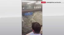 New York, metropolitana allagata a causa delle forti piogge