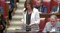 Dazi, Braga: Meloni dica cosa fa per proteggere l'Europa