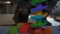 4 Videogiochi di luglio