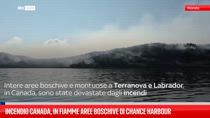 Incendio Canada, in fiamme aree boschive di Chance Harbour