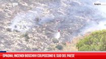 Spagna, incendi boschivi colpiscono il Sud del Paese