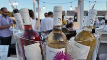 Calabria in Wine, una 3 giorni tra vino, storia e cultura