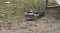 Bologna, in fuga dal caldo al Lido di Casalecchio