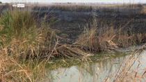 Emergenza incendi, a Manfredonia le fiamme devastano l'oasi del lago