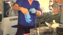 West Nile, aumentano contagi nel Lazio, rafforzata prevenzione