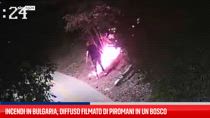 Incendi in Bulgaria, diffuso filmato di piromani in un bosco