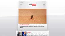 Sky Tg24 Business, puntata del 29 luglio 2025