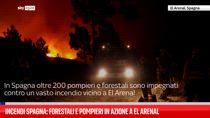 Incendi Spagna: forestali e pompieri al lavoro a El Arenal