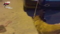 Agrigento, rissa a Santa Margherita Belice: 9 arresti