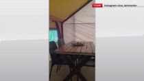 Terremoto Kamchatka, scossa fa vibrare una tenda a Paratunk