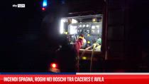 Incendi Spagna, roghi nei boschi tra Caceres e Avila
