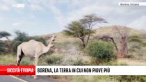 Borena, la terra senza più acqua