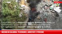 Incendi in Calabria: 70 denunce, arrestate 2 persone