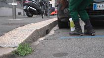 West Nile, la disinfestazione da larve e zanzare a Milano