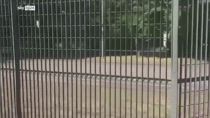Bologna, smantellate due bande di ladri d'appartamenti