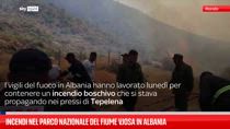 Incendi nel parco nazionale del fiume Vjosa in Albania