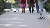 Ondate di calore, nel mondo le città puntano su verde urbano