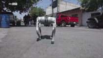 Waldog, il cane robot che insegna l'amore per gli animali