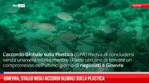 Ginevra, stallo negli accordi globali sulla plastica