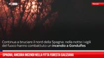 Spagna, ancora incendi nella fitta foresta galiziana