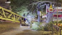 Maltempo in Emilia-Romagna: alberi caduti e case evacuate