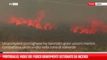 Portogallo, vigile del fuoco gravemente ustionato da incendi