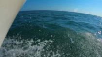 VIDEO - Ava presenta Formentera