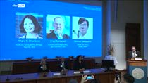 Il Nobel per la Medicina a Brunkow, Ramsdell e Sakaguchi