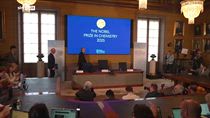 Nobel Chimica a 3 scienziati per strutture metallo-organiche