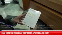 Papa Leone XIV, pubblicata esortazione apostolica: Dilexi te