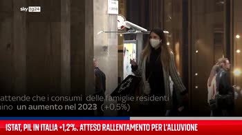 Istat, Pil in Italia +1,2%. Atteso rallentamento per l'alluvione