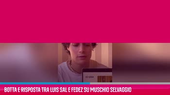 VIDEO Muschio Selvaggio, Luis Sal risponde a Fedez