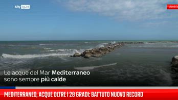 Mediterraneo, acque oltre i 28 gradi: battuto un nuovo record