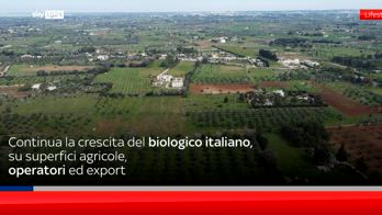 Giornata europea del Biologico, in Italia dati in crescita