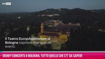 Il Re Leone  Cultura Bologna