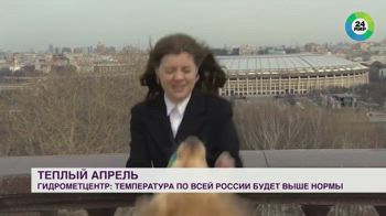 Cane ruba microfono a una giornalista di una tv russa